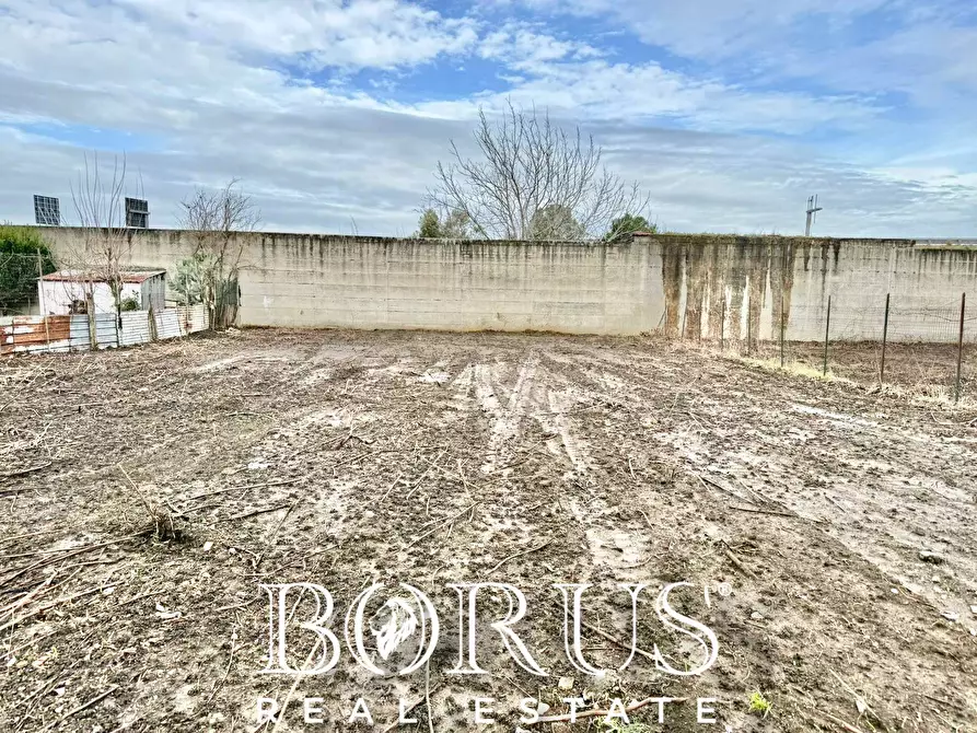 Immagine 4 di Terreno agricolo in vendita  in via del pozzo a Casal Di Principe