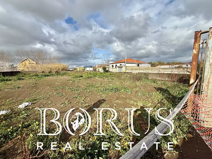 Immagine 1 di Terreno agricolo   a Castel Volturno