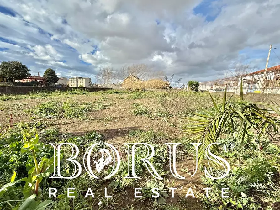 Immagine 5 di Terreno agricolo   a Castel Volturno