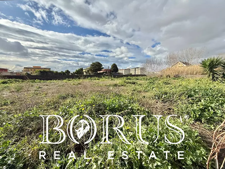 Immagine 7 di Terreno agricolo   a Castel Volturno