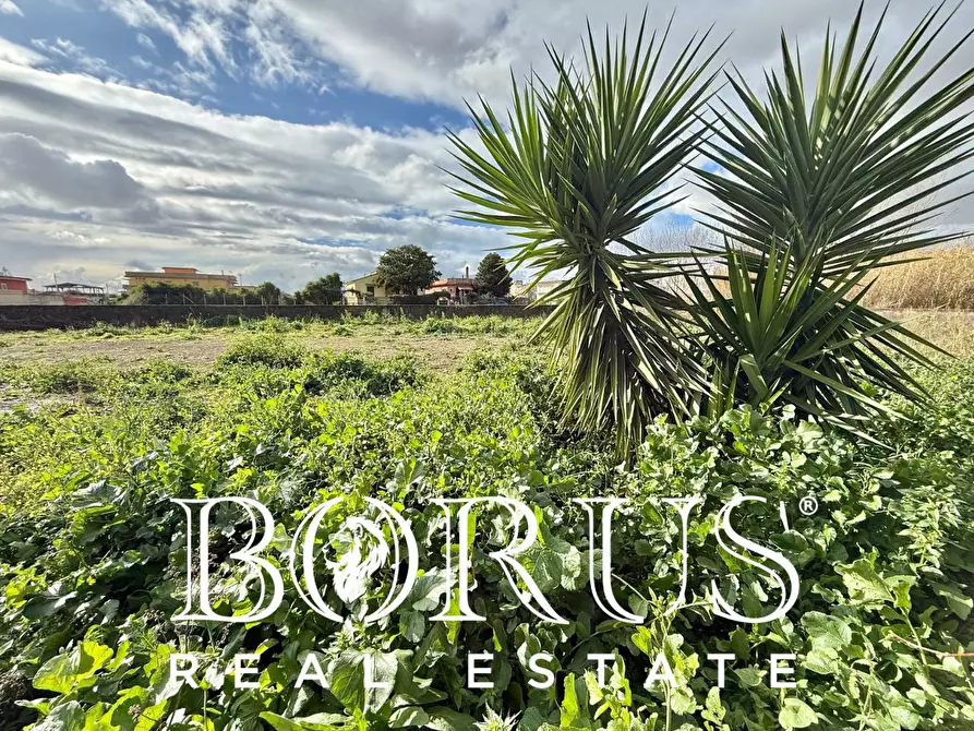 Immagine 8 di Terreno agricolo   a Castel Volturno