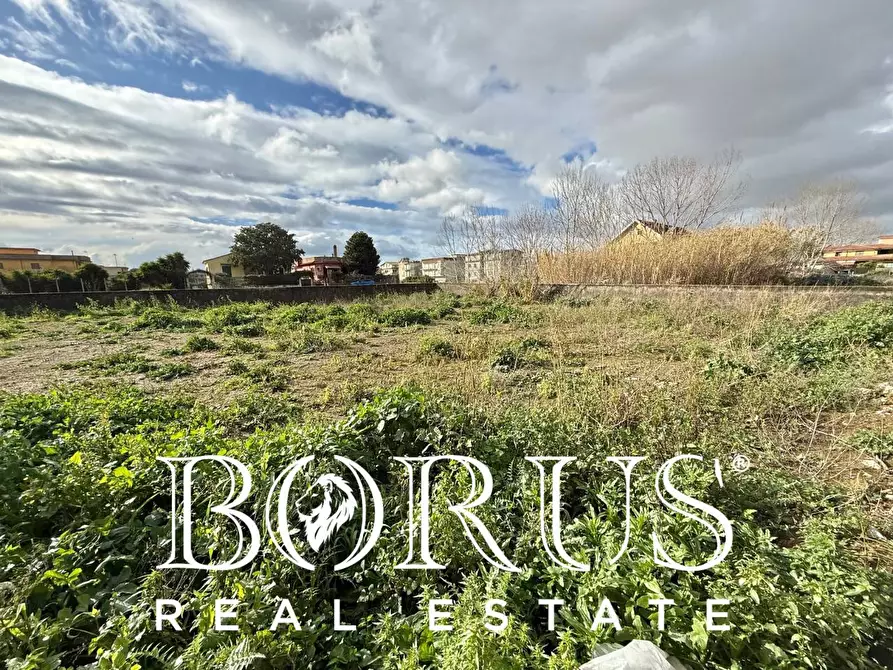 Immagine 11 di Terreno agricolo   a Castel Volturno