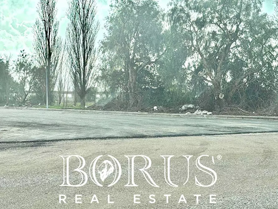 Immagine 16 di Terreno residenziale in vendita  in SP22 KM 1.750 a Marcianise