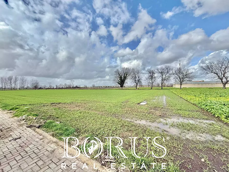 Immagine 8 di Terreno residenziale in vendita  in SP22 KM 1.750 a Marcianise