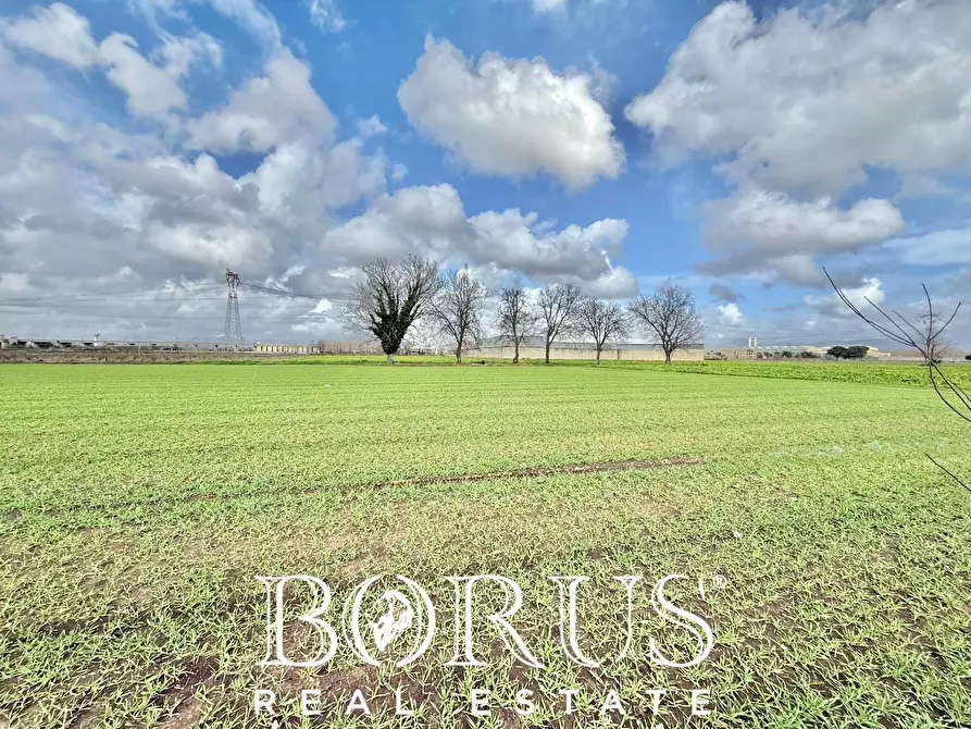 Immagine 13 di Terreno residenziale in vendita  in SP22 KM 1.750 a Marcianise