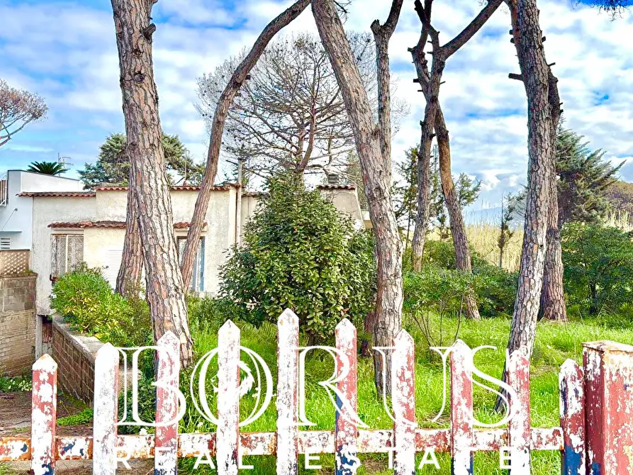 Immagine 3 di Casa indipendente in vendita  in via del Trimoletto 177 177 a Cellole