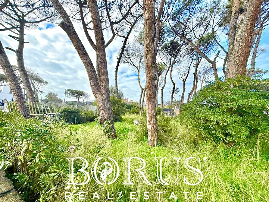 Immagine 6 di Casa indipendente in vendita  in via del Trimoletto 177 177 a Cellole