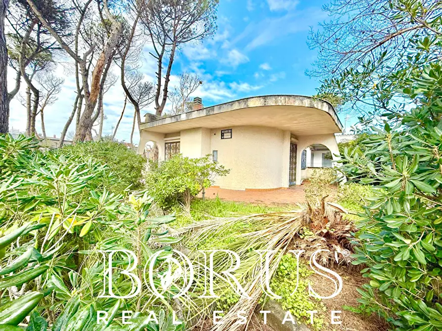 Immagine 9 di Casa indipendente in vendita  in via del Trimoletto 177 177 a Cellole