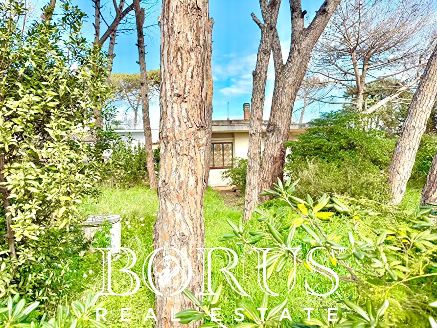 Immagine 13 di Casa indipendente in vendita  in via del Trimoletto 177 177 a Cellole