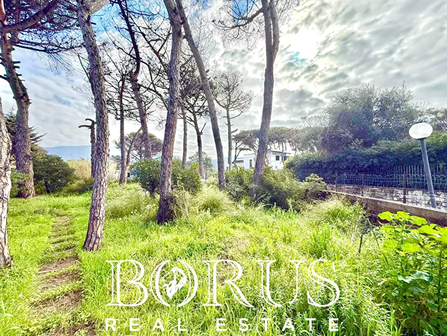 Immagine 14 di Casa indipendente in vendita  in via del Trimoletto 177 177 a Cellole