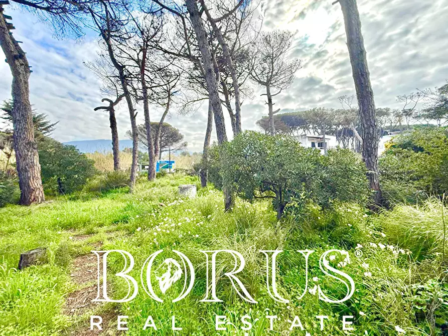 Immagine 24 di Casa indipendente in vendita  in via del Trimoletto 177 177 a Cellole