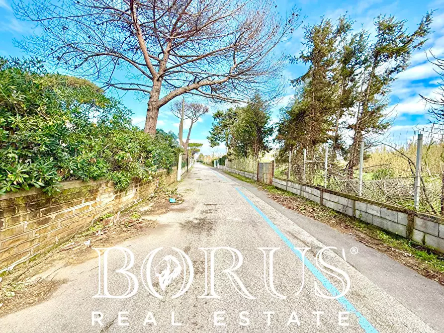 Immagine 25 di Casa indipendente in vendita  in via del Trimoletto 177 177 a Cellole