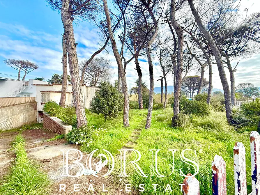 Immagine 27 di Casa indipendente in vendita  in via del Trimoletto 177 177 a Cellole