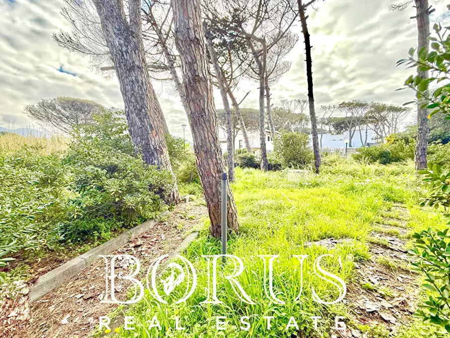 Immagine 29 di Casa indipendente in vendita  in via del Trimoletto 177 177 a Cellole