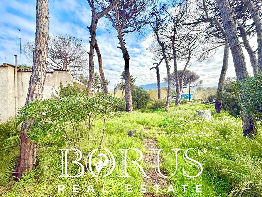 Immagine 35 di Casa indipendente in vendita  in via del Trimoletto 177 177 a Cellole