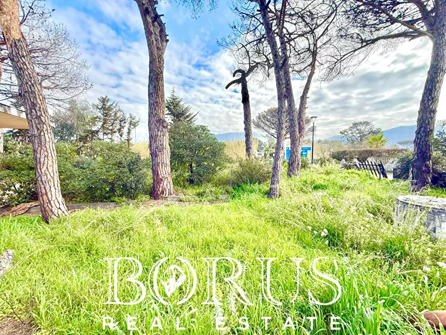 Immagine 36 di Casa indipendente in vendita  in via del Trimoletto 177 177 a Cellole