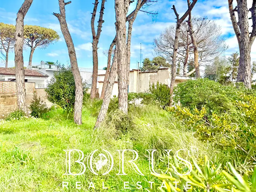 Immagine 44 di Casa indipendente in vendita  in via del Trimoletto 177 177 a Cellole