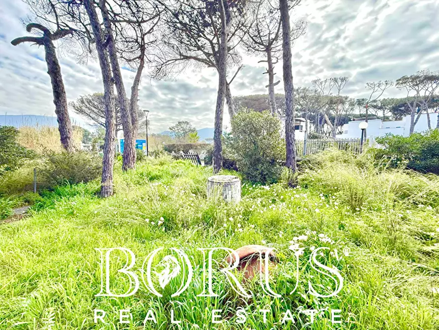 Immagine 51 di Casa indipendente in vendita  in via del Trimoletto 177 177 a Cellole