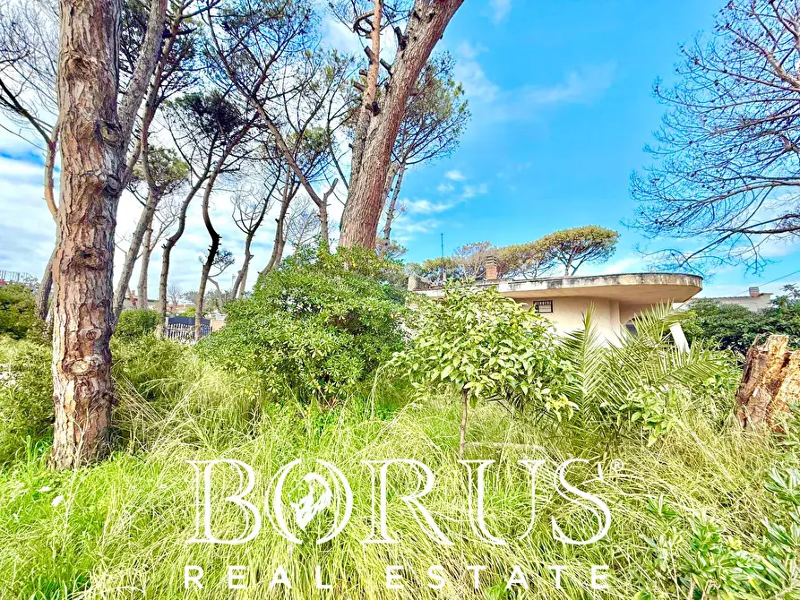 Immagine 52 di Casa indipendente in vendita  in via del Trimoletto 177 177 a Cellole