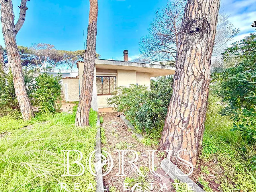 Immagine 56 di Casa indipendente in vendita  in via del Trimoletto 177 177 a Cellole