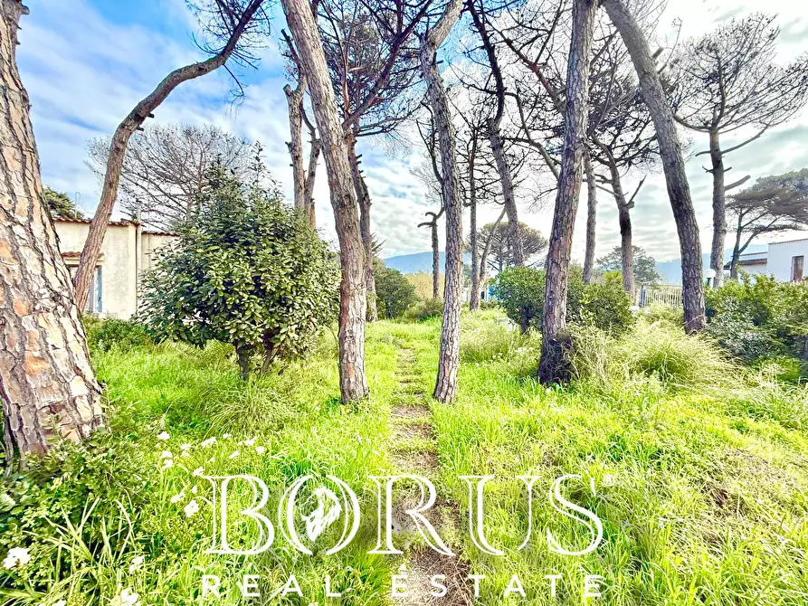 Immagine 57 di Casa indipendente in vendita  in via del Trimoletto 177 177 a Cellole