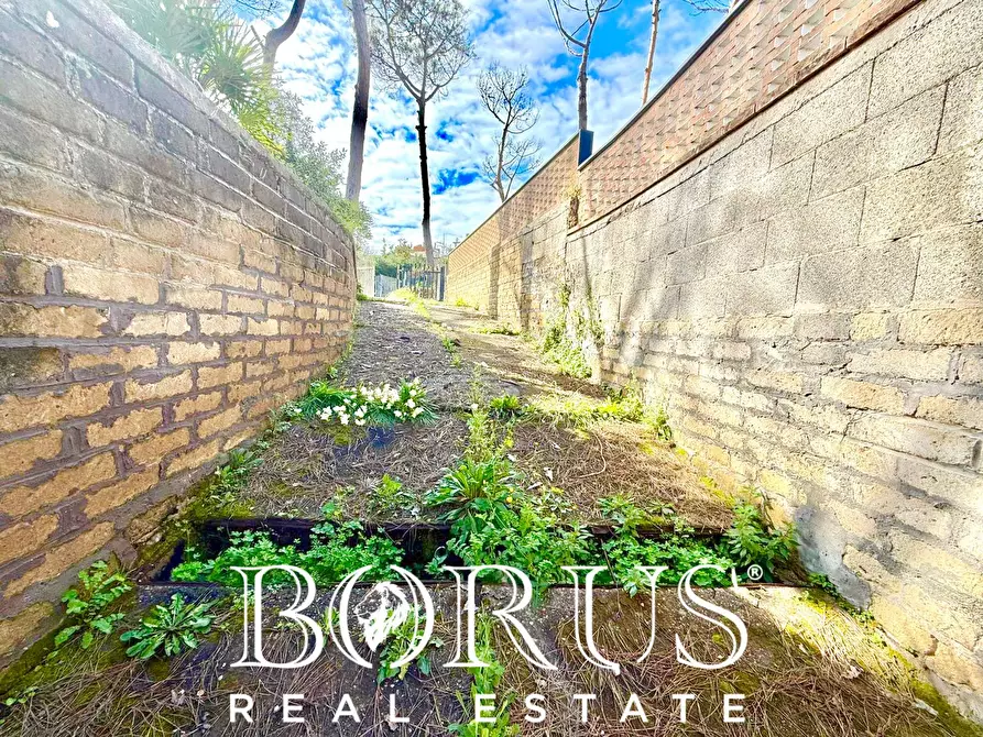 Immagine 58 di Casa indipendente in vendita  in via del Trimoletto 177 177 a Cellole