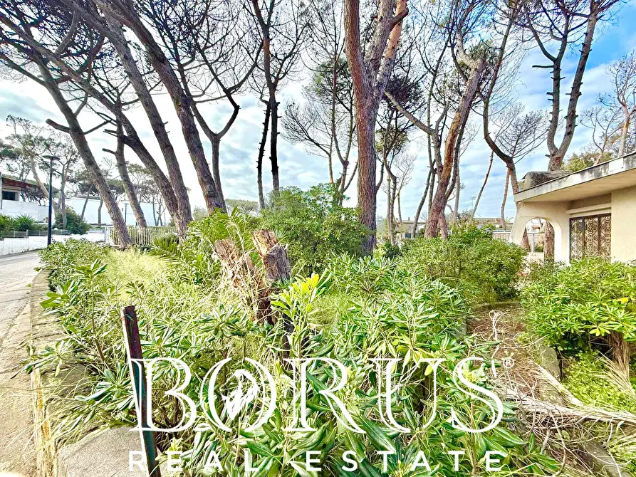 Immagine 61 di Casa indipendente in vendita  in via del Trimoletto 177 177 a Cellole