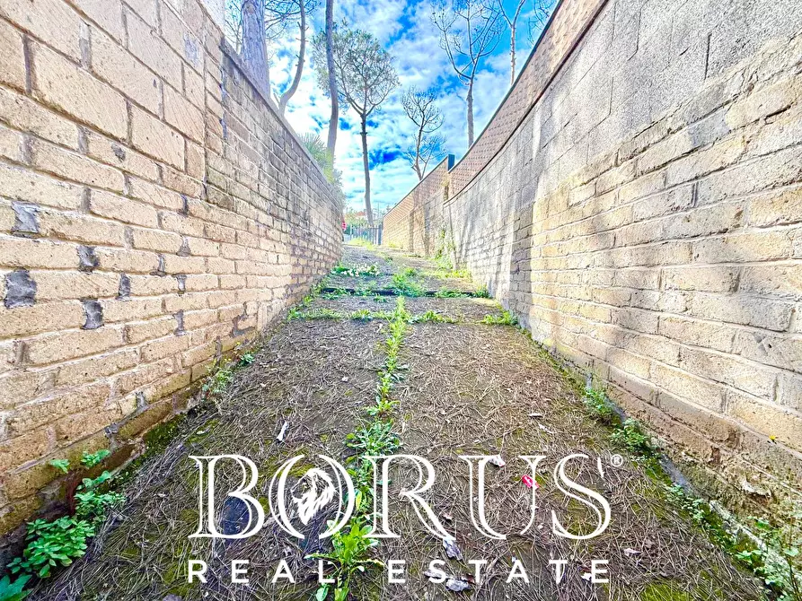 Immagine 69 di Casa indipendente in vendita  in via del Trimoletto 177 177 a Cellole