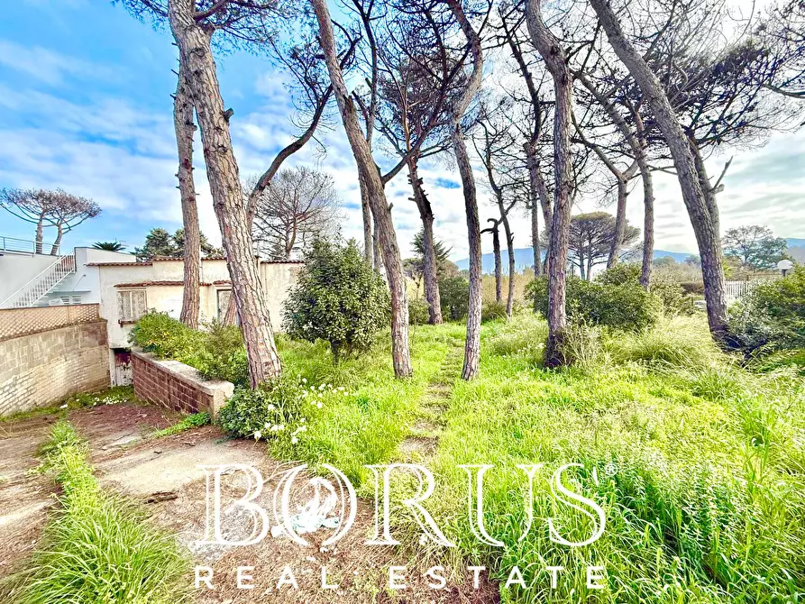 Immagine 70 di Casa indipendente in vendita  in via del Trimoletto 177 177 a Cellole