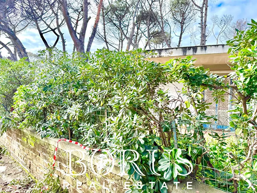 Immagine 81 di Casa indipendente in vendita  in via del Trimoletto 177 177 a Cellole