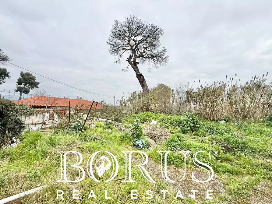 Immagine 10 di Palazzo in vendita  in Pineta Riviera a Mondragone