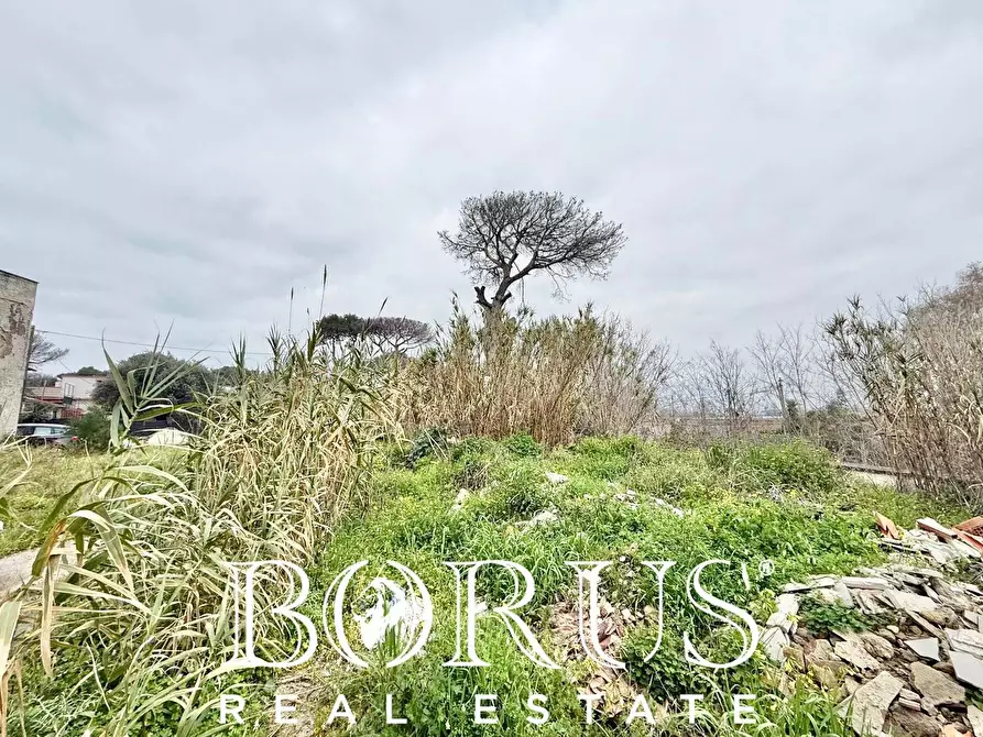 Immagine 21 di Palazzo in vendita  in Pineta Riviera a Mondragone