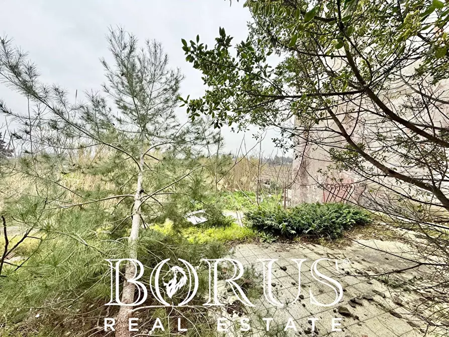 Immagine 42 di Palazzo in vendita  in Pineta Riviera a Mondragone