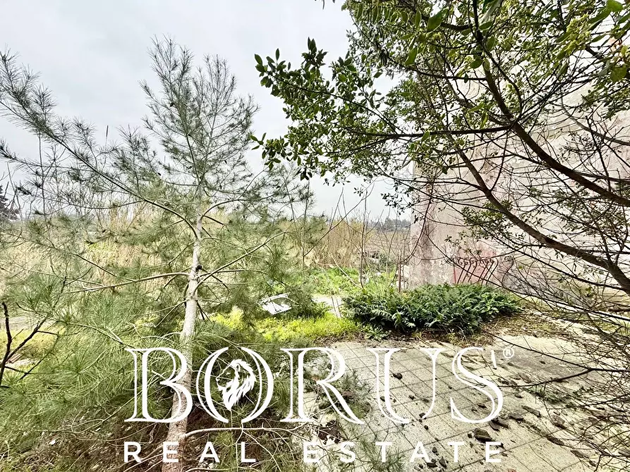 Immagine 45 di Palazzo in vendita  in Pineta Riviera a Mondragone