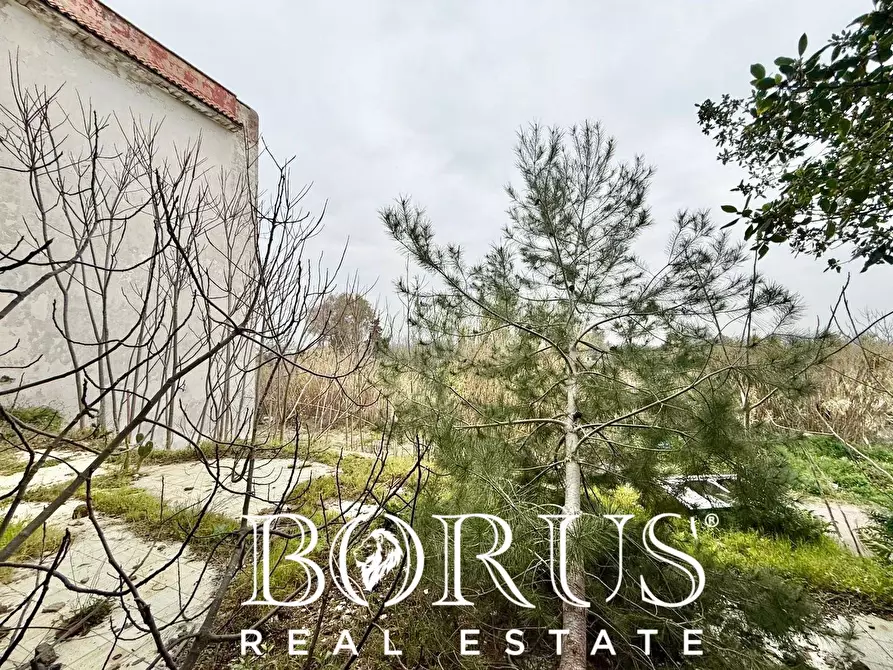 Immagine 46 di Palazzo in vendita  in Pineta Riviera a Mondragone