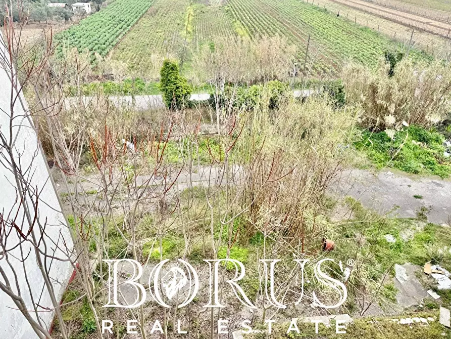 Immagine 71 di Palazzo in vendita  in Pineta Riviera a Mondragone