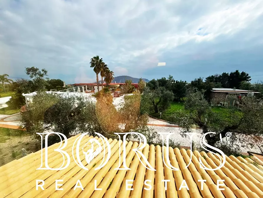 Immagine 7 di Attività commerciale in vendita  a Gaeta