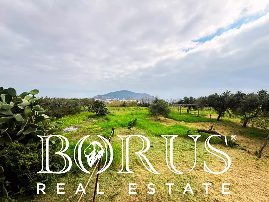 Immagine 34 di Attività commerciale in vendita  a Gaeta