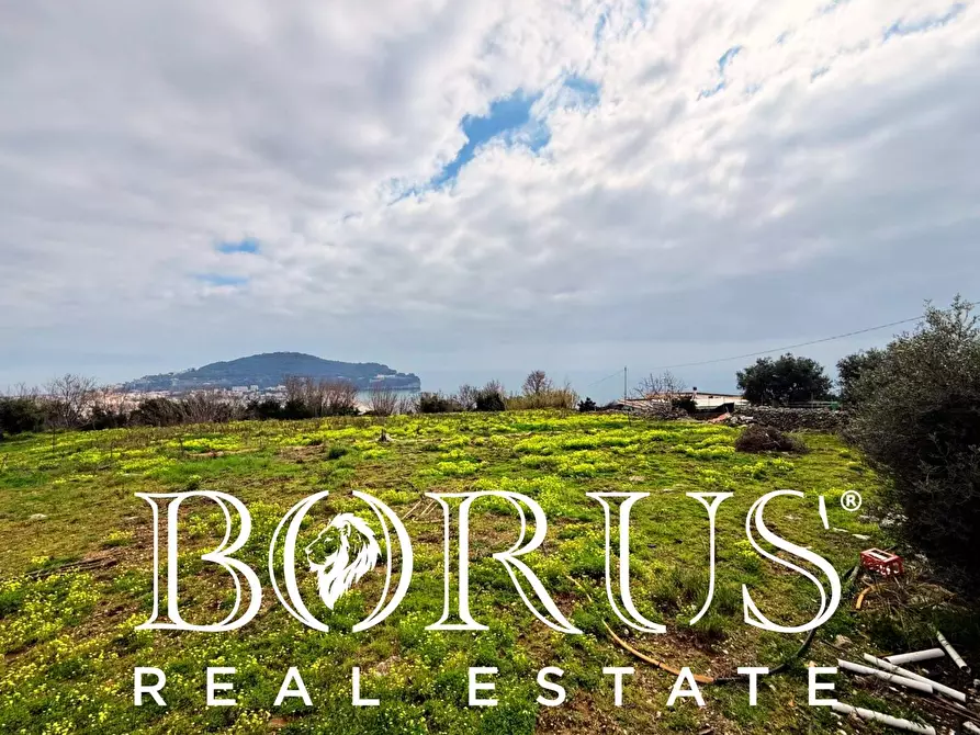 Immagine 36 di Attività commerciale in vendita  a Gaeta