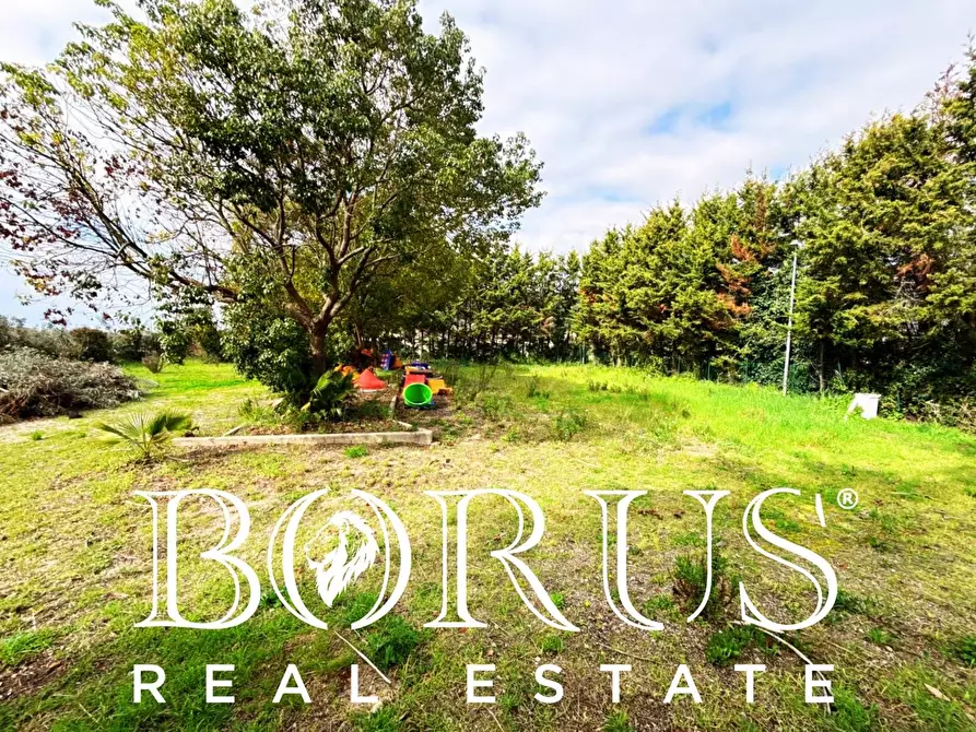 Immagine 39 di Attività commerciale in vendita  a Gaeta