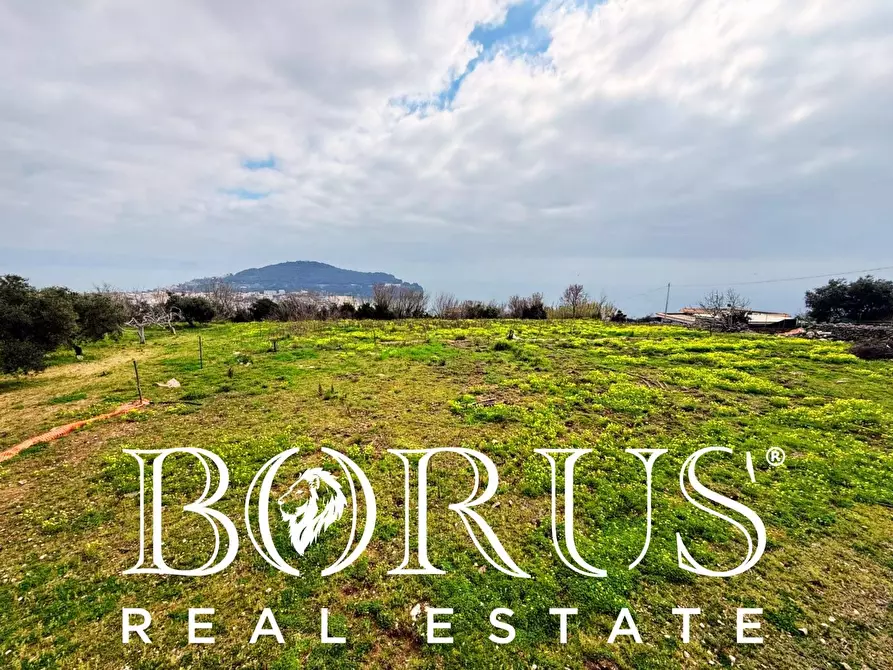 Immagine 42 di Attività commerciale in vendita  a Gaeta