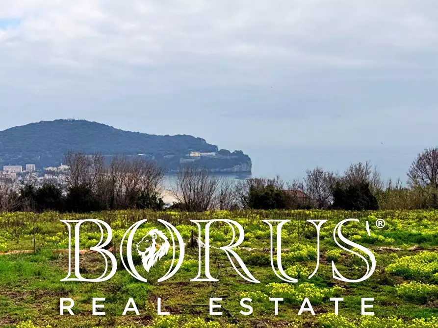 Immagine 69 di Attività commerciale in vendita  a Gaeta