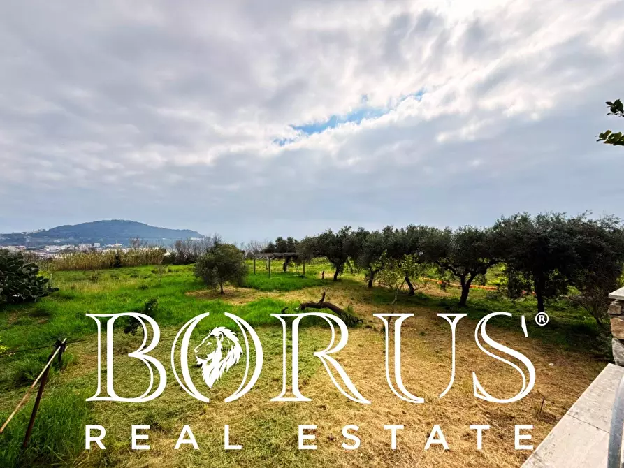 Immagine 70 di Attività commerciale in vendita  a Gaeta