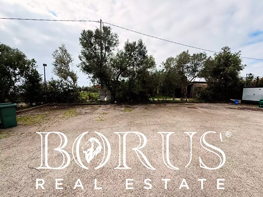 Immagine 81 di Attività commerciale in vendita  a Gaeta