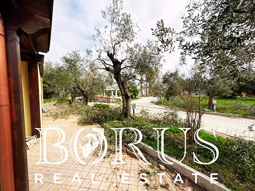 Immagine 84 di Attività commerciale in vendita  a Gaeta