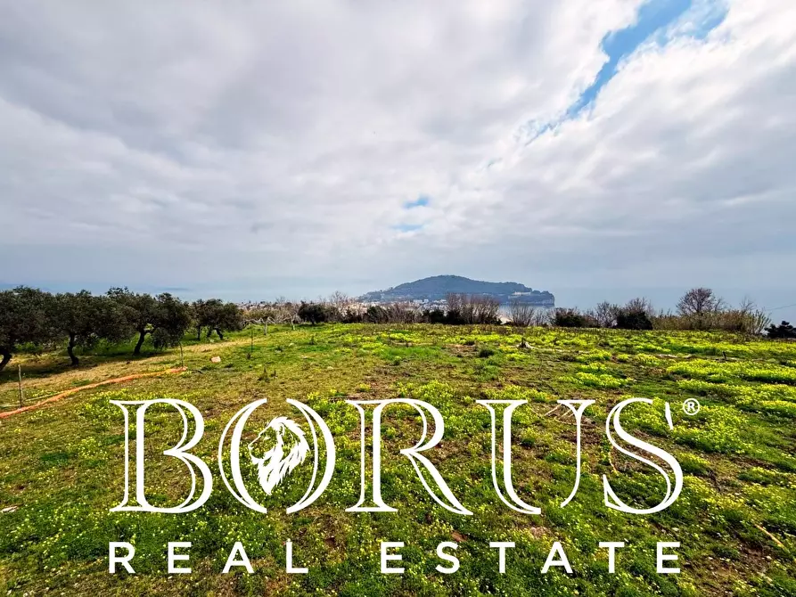 Immagine 86 di Attività commerciale in vendita  a Gaeta