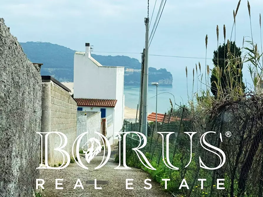 Immagine 120 di Attività commerciale in vendita  a Gaeta