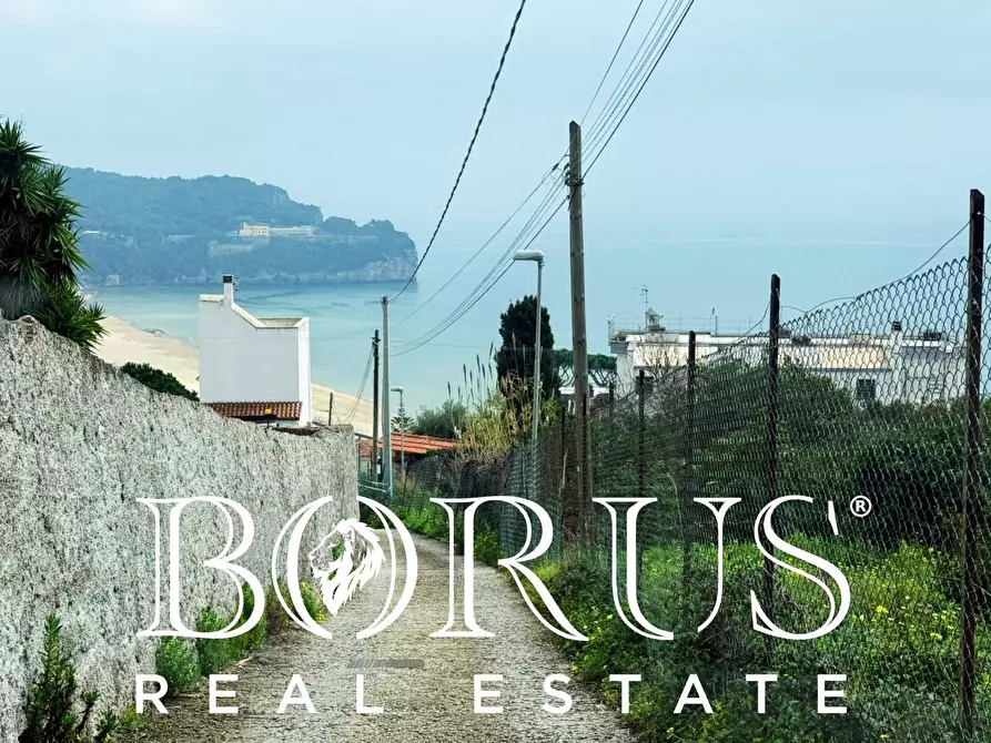 Immagine 121 di Attività commerciale in vendita  a Gaeta