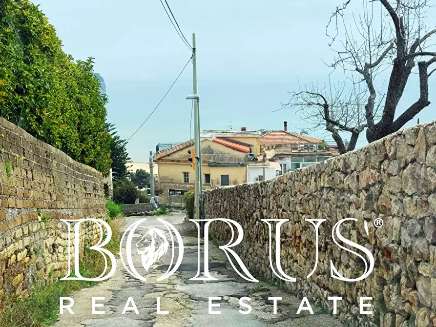 Immagine 124 di Attività commerciale in vendita  a Gaeta