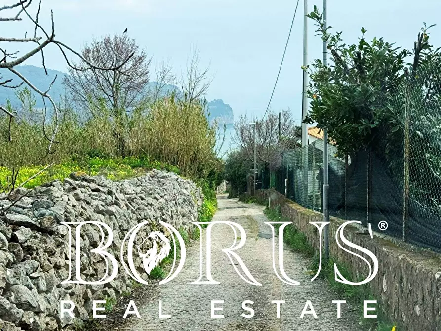 Immagine 125 di Attività commerciale in vendita  a Gaeta